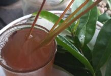 Manfaat Rebusan Daun Sirsak dan Serai: Minuman Herbal yang Kaya Khasiat