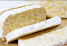 Xenia Tombokan Perempuan  asal Indonesia sukses meniti karier menjadi produsen tempe di negeri Paman Sam