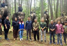 Pertamina Patra Niaga Dukung Konservasi Gajah Sumatera