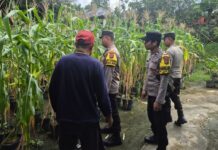 Polsek Daik Lingga Gerakkan Warga Tanam Jagung Serentak Dukung Program Ketahanan Pangan
