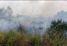 Kebakaran Lahan di Sei Lekop Nyaris Dekati Permukiman Warga