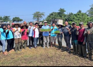 Yayasan Bhakti Bela Negara Tanam Perdana Benih Padi PS-08 di Pandeglang, Dukung Ketahanan Pangan Nasional