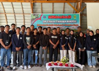 Aliansi BEM Kabupaten Lingga Gelar Sosialisasi dan Aksi Tanam 400 Mangrove di Tanjung Buton dan Pulau Mepar