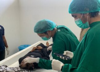 Seorang Nelayan Ditemukan Tewas, Saat Mencari Gurita di Perairan Laut Kelanga