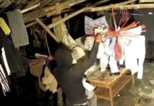 Wah-wah! Remaja Ini Nekat Curi Celana dalam dan BH