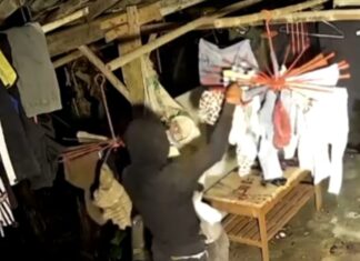 Wah-wah! Remaja Ini Nekat Curi Celana dalam dan BH