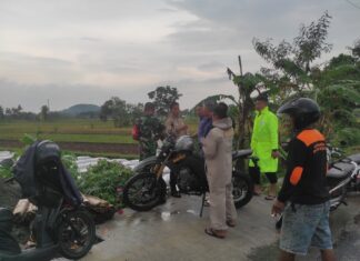 Dua Orang Petani di Sleman Tewas Tersambar Petir