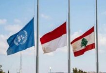 Ini Kronologi Gugurnya 2 Prajurut TNI di Lebanon