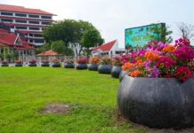 BP Batam: Penataan Pot Bougenville di Jalan Protokol Gunakan Dana CSR