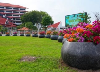 BP Batam: Penataan Pot Bougenville di Jalan Protokol Gunakan Dana CSR