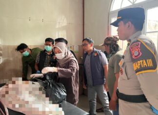 Pencari Jerami di Bantul Tewas Tersambar Petir