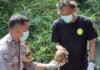 Geger! Dua Mayat Ditemukan Warga di Bantul