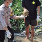 Geger! Dua Mayat Ditemukan Warga di Bantul