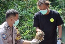 Geger! Dua Mayat Ditemukan Warga di Bantul