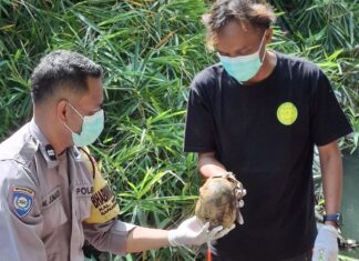 Geger! Dua Mayat Ditemukan Warga di Bantul