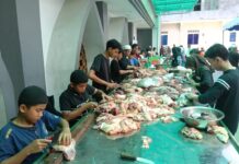 Masjid Agung AL Hikmah Tanjungpinang Sembelih 11 ekor sapi dan 11 Ekor Kambing