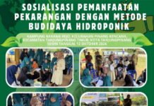 Dinas Ketahanan Pangan Kepri Sosialisasikan Hidroponik di Tanjungpinang, Dorong Perkuat Ketahanan Pangan Keluarga