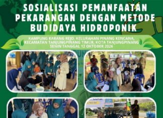 Dinas Ketahanan Pangan Kepri Sosialisasikan Hidroponik di Tanjungpinang, Dorong Perkuat Ketahanan Pangan Keluarga