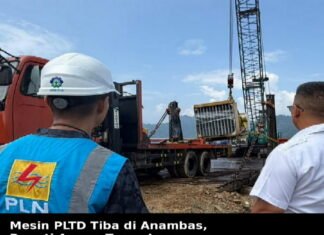 Mesin PLTD Tiba di Anambas, Bupati Aneng Turun Langsung Pantau Bongkar Muat di Tanjung Momong