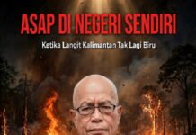 OPINI : Asap di Negeri Sendiri : Ketika Langit Kalimantan Tak Lagi Biru