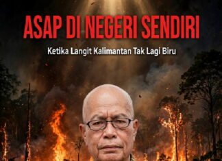 OPINI : Asap di Negeri Sendiri : Ketika Langit Kalimantan Tak Lagi Biru