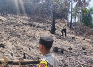 Respons Cepat Bhabinkamtibmas Polsek Palmatak Padamkan Sisa Api di Kebun Warga Desa Putik
