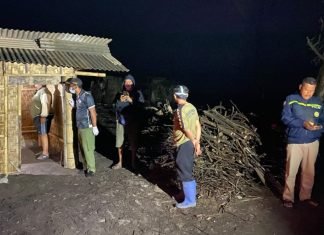 Pria Tanpa Identitas Ditemukan Tewas di Gubuk Pantai Pandansimo Bantul
