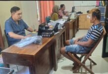 Residivis di Bantul Curi ayam Bangkok Milik Tetangga