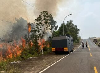 Lahan Terbakar Seluas 4 Hektare Berhasil Dipadamkan