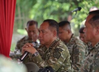 Panglima TNI dorong Brigif TP dan Yon TP Optimalkan Potensi Wilayah